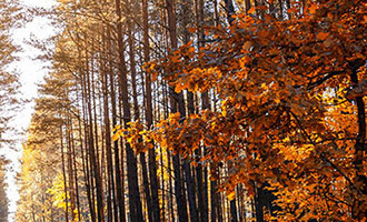 快手刷双击 048 元 100 个双击 ks，主营虚拟业务的在线冲值平台