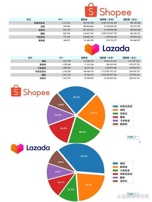 TikTok Shop东南亚跨境电商_tiktok买粉_中国品牌出海东南亚攻略
