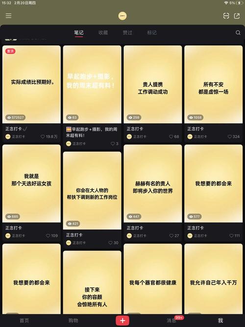 小红书涨粉变现项目_前期涨粉后期躺赚月入3000+_小红书涨粉可以赚钱吗