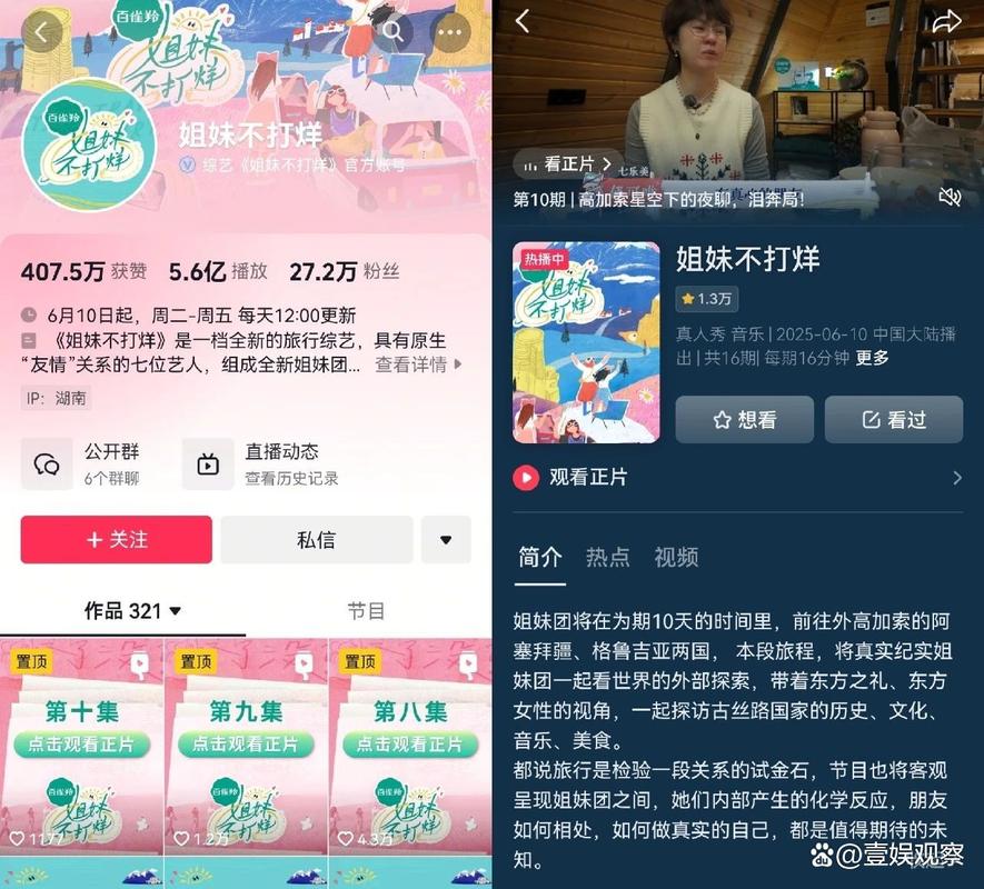 抖音综艺宣发白皮书_内容种草+阵地经营_抖音有效粉怎么样才算有效粉