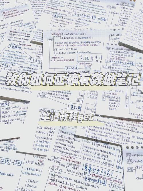 优化涨粉路径提升关注转化率_小红书涨粉路径_怎么才能在小红书上增加粉丝