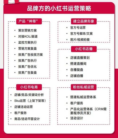 小红书专业号运营案例_小红书专业号涨粉技巧_小红书涨粉平台